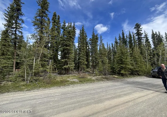 2nd image of Lot 1 5 Hartsell Subvisision, Tok, AK 99780 | MLS# 26-5936