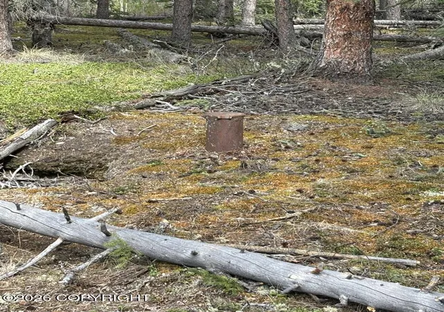Photo 3 of Sale Pending at L1 5 Bg Hartsell, Tok, AK 99780 | MLS# 26-5936 | Listing updated on 2026-06-07