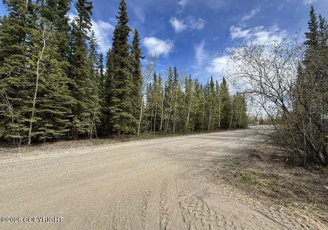 4th image of Lot 1 5 Hartsell Subvisision, Tok, AK 99780 | MLS# 26-5936