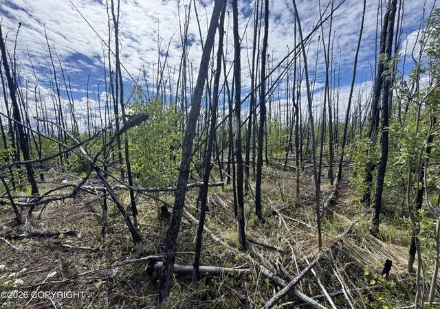 Photo 18 of Land for sale at Nhn Lightning Ave, Clear, AK 99743 | MLS# 26-5688 | Listing updated on 2026-07-24