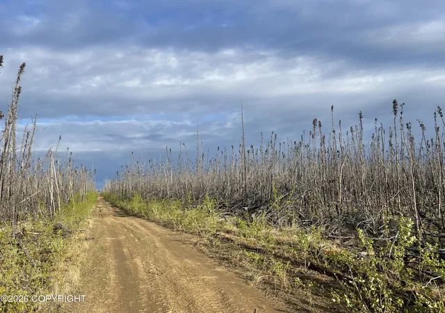 Photo 1 of Land for sale at Nhn Lightning Ave, Clear, AK 99743 | MLS# 26-5688 | Listing updated on 2026-07-24