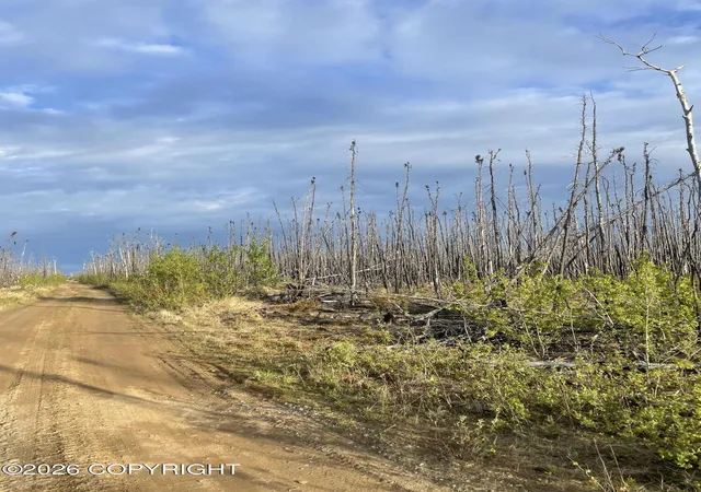 Photo 3 of Land for sale at Nhn Lightning Ave, Clear, AK 99743 | MLS# 26-5688 | Listing updated on 2026-07-24