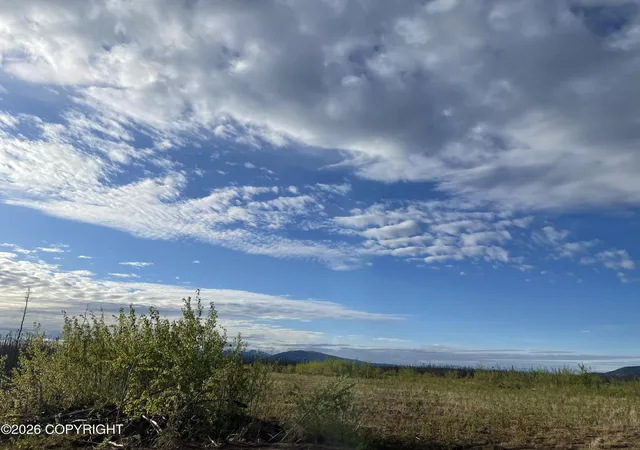 Photo 4 of Land for sale at Nhn Lightning Ave, Clear, AK 99743 | MLS# 26-5688 | Listing updated on 2026-07-24