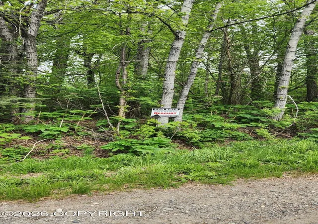 Photo 1 of Land for sale at L2 B10 Merkle Ln, Kenai, AK 99611 | MLS# 26-5647 | Listing updated on 2026-06-16