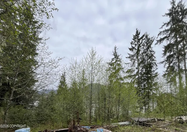 3rd image of 25Ac Mitkof Hwy, Petersburg, AK 99833 | MLS# 26-5699