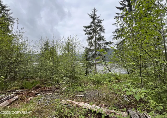 4th image of 25Ac Mitkof Hwy, Petersburg, AK 99833 | MLS# 26-5699