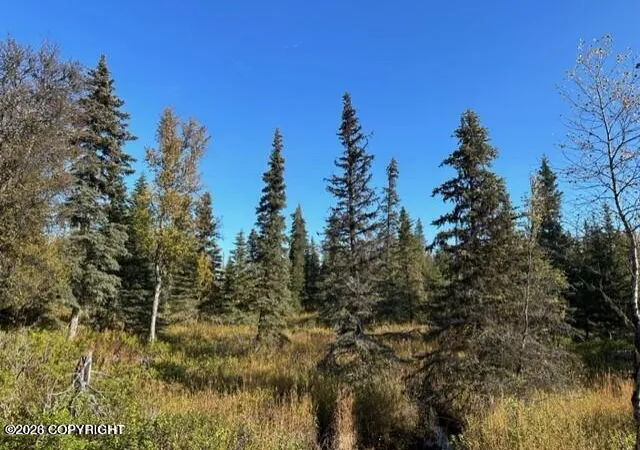 Photo 1 of Land for sale at 68302 Sunshine Dr, Ninilchik, AK 99639 | MLS# 26-5710 | Listing updated on 2026-05-22