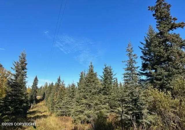 Photo 2 of Land for sale at 68302 Sunshine Dr, Ninilchik, AK 99639 | MLS# 26-5710 | Listing updated on 2026-05-22