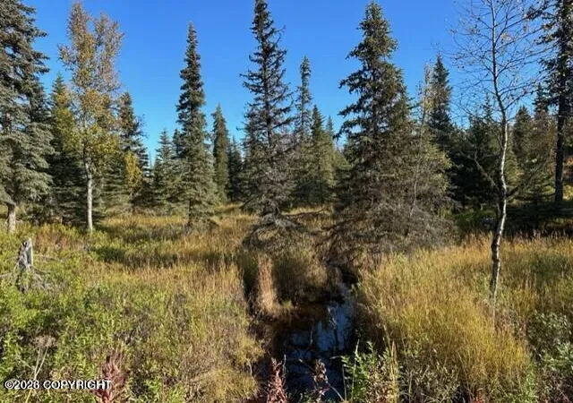 Photo 3 of Land for sale at 68302 Sunshine Dr, Ninilchik, AK 99639 | MLS# 26-5710 | Listing updated on 2026-05-22