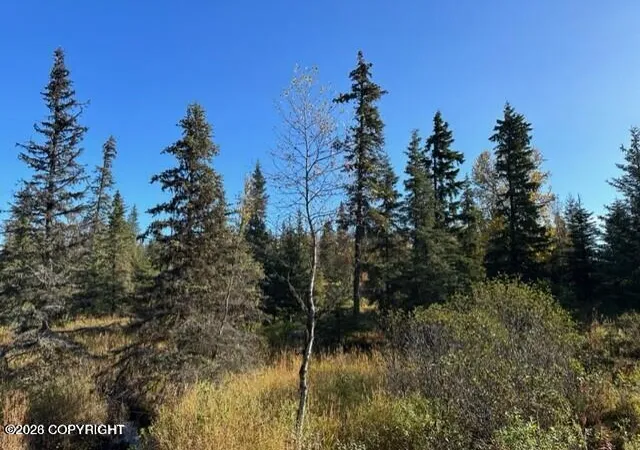 Photo 3 of Land for sale at 68302 Sunshine Dr, Ninilchik, AK 99639 | MLS# 26-5710 | Listing updated on 2026-05-22