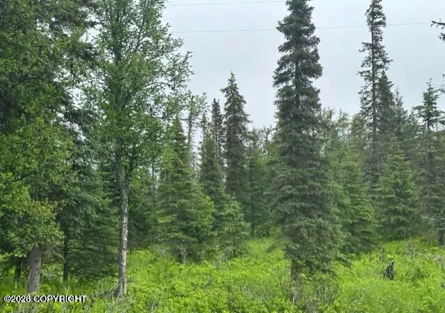 Photo 4 of Land for sale at 68302 Sunshine Dr, Ninilchik, AK 99639 | MLS# 26-5710 | Listing updated on 2026-05-22