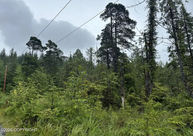 1st image of 125 Mile Zimovia Hwy, Wrangell, AK 99929 | MLS# 26-5768