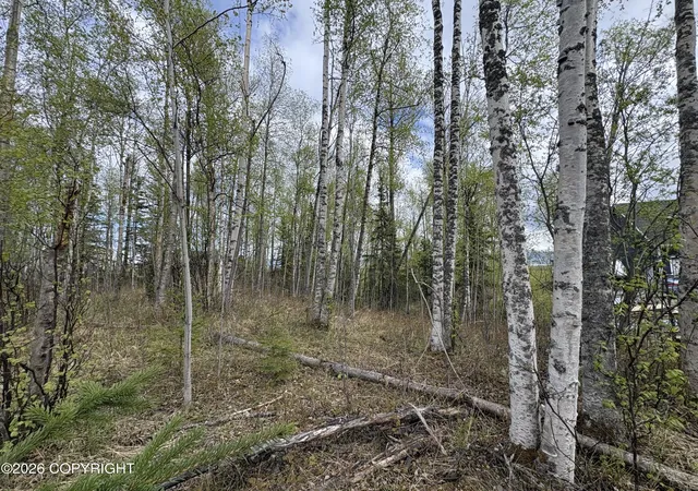 Photo 3 of Land for sale at 5201 S Outrigger Dr, Wasilla, AK 99623 | MLS# 26-7001 | Listing updated on 2026-06-12