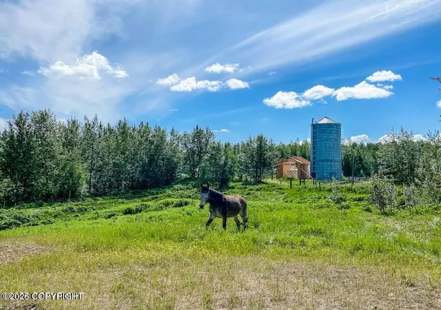 3rd image of 5800 Cunningham Rd, Palmer, AK 99645 | MLS# 26-6082