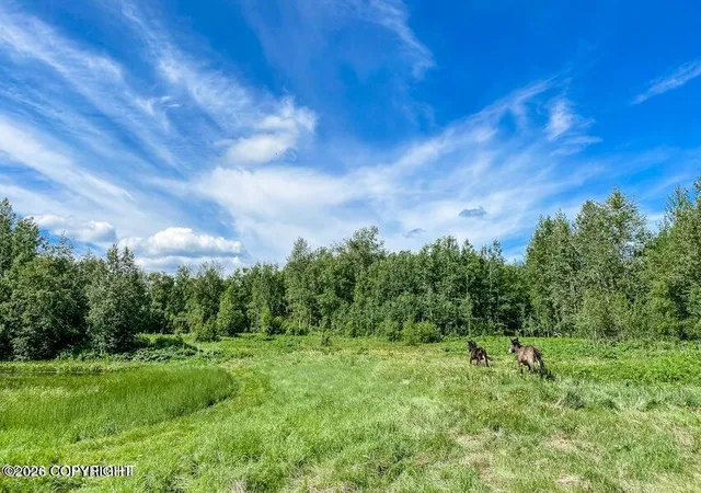 4th image of 5800 Cunningham Rd, Palmer, AK 99645 | MLS# 26-6082