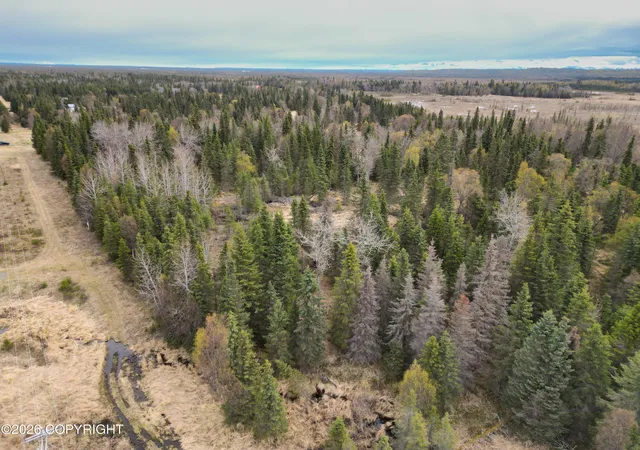 Homes for sale in Kasilof, AK | 30276 Kalifornsky Rd, Kasilof, AK 99610 | MLS# 26-6002