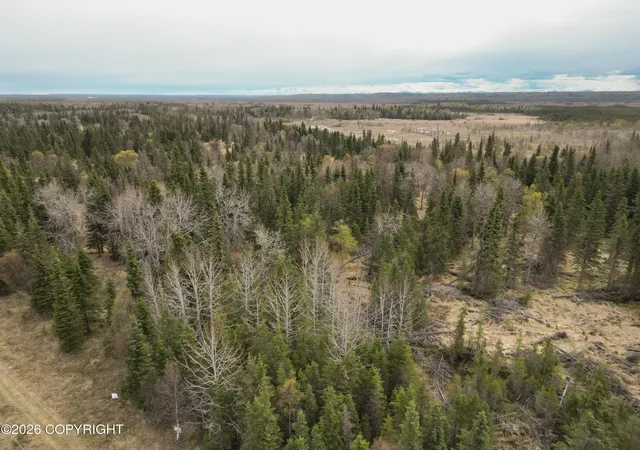 Homes for sale in Kasilof, AK | 30276 Kalifornsky Rd, Kasilof, AK 99610 | MLS# 26-6002