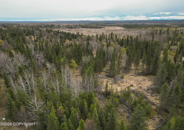 Homes for sale in Kasilof, AK | 30276 Kalifornsky Rd, Kasilof, AK 99610 | MLS# 26-6002