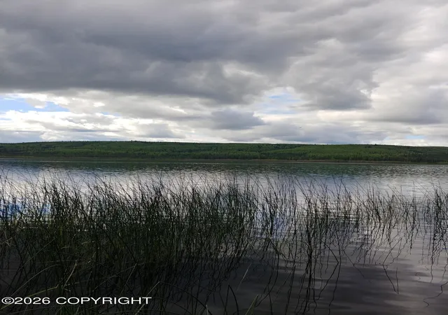 Photo 1 of Land for sale at 000 Lydia Ln, Manley Hot Springs, AK 99000 | MLS# 26-5794 | Listing updated on 2026-05-22