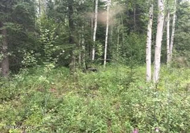 Photo 3 of Land for sale at 000 Lydia Ln, Manley Hot Springs, AK 99000 | MLS# 26-5794 | Listing updated on 2026-05-22