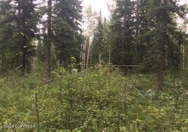 Photo 3 of Land for sale at 000 Lydia Ln, Manley Hot Springs, AK 99000 | MLS# 26-5794 | Listing updated on 2026-05-22