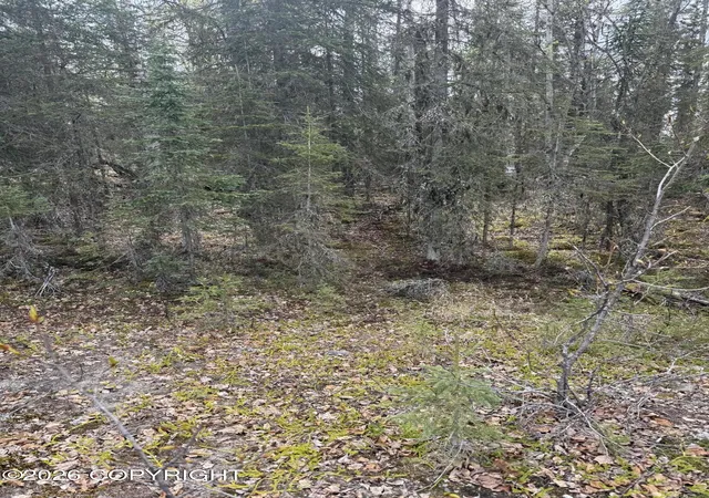 Homes for sale in Soldotna, AK | 39495 E Fox Trail Rd, Soldotna, AK 99669 | MLS# 26-6194