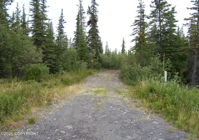 2nd image of L22 Willow Lake Airstrip Lane, Copper Center, AK 99573 | MLS# 26-5965