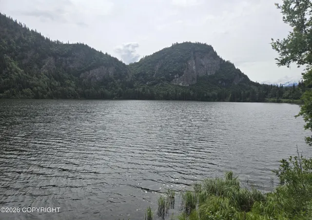 3rd image of L22 Willow Lake Airstrip Lane, Copper Center, AK 99573 | MLS# 26-5965