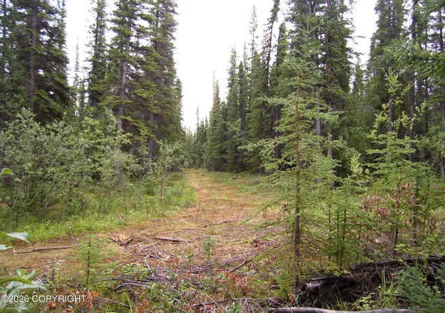 1st image of L20 B2 Becky Lane, Copper Center, AK 99573 | MLS# 26-5966