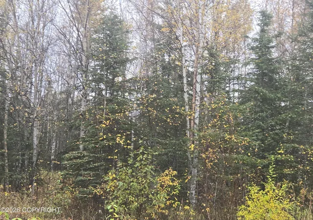 Photo 3 of Land for sale at L20 B2 Becky Ln, Copper Center, AK 99573 | MLS# 26-5966 | Listing updated on 2026-05-26