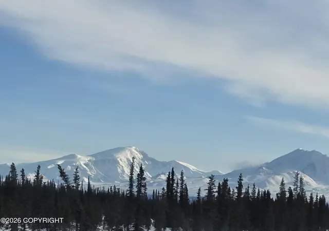 4th image of L20 B2 Becky Lane, Copper Center, AK 99573 | MLS# 26-5966