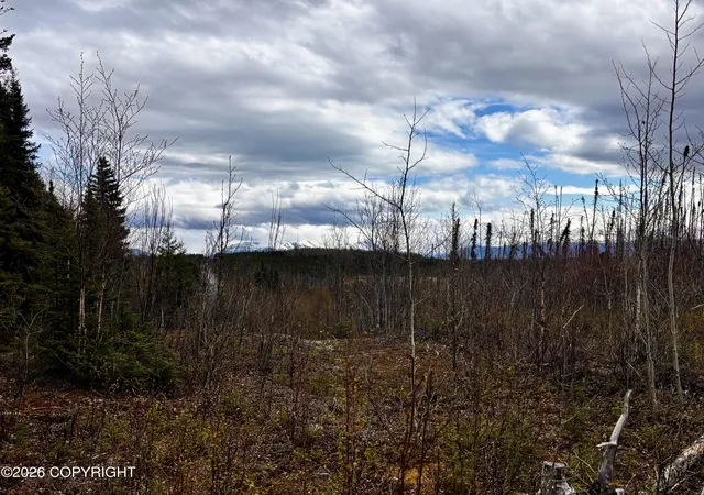 3rd image of 000 Lake Rd, Soldotna, AK 99669 | MLS# 26-6101