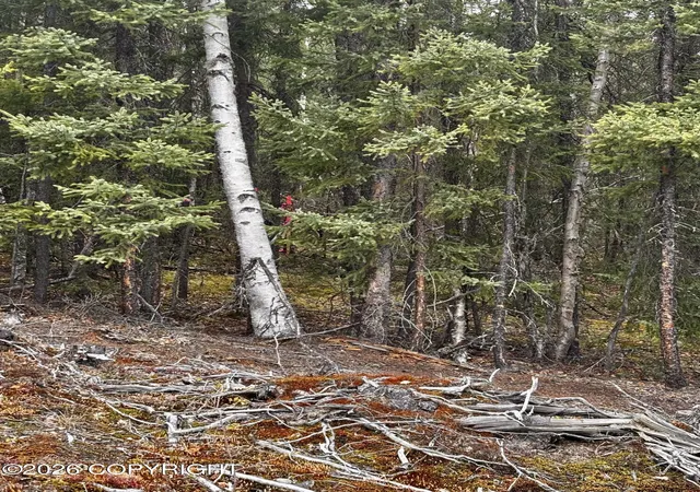 4th image of 000 Lake Rd, Soldotna, AK 99669 | MLS# 26-6101