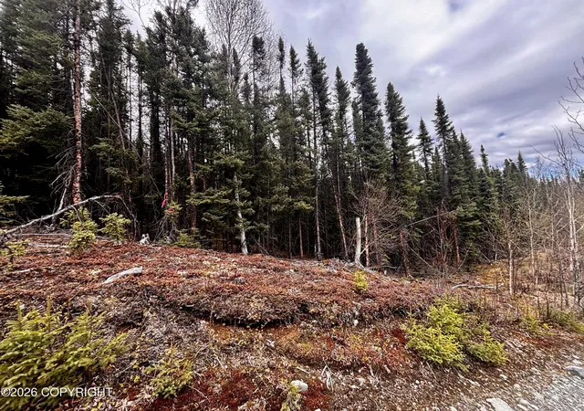 5th image of 000 Lake Rd, Soldotna, AK 99669 | MLS# 26-6101