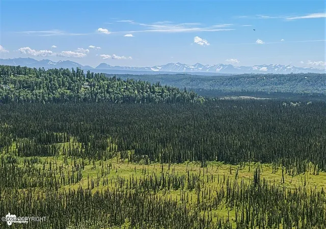 Photo 50 of Multi family home for sale at 41611 Tischer Ave, Soldotna, AK 99669 | MLS# 26-9732 | Listing updated on 2026-09-02