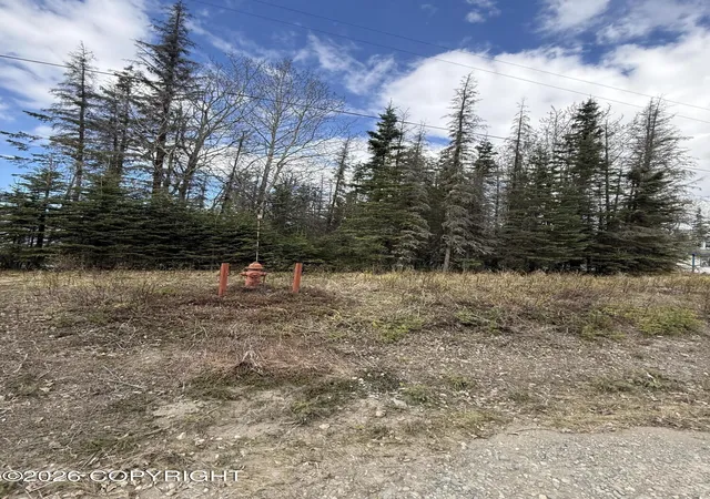 Homes for sale in Kenai, AK | 609 Magic Ave, Kenai, AK 99611 | MLS# 26-6188