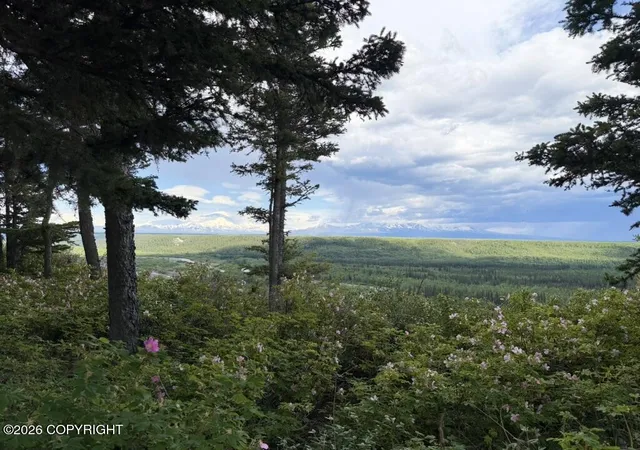 Photo 3 of Single family home for sale at Mile 5 Tok Cut Off Hwy, Gakona, AK 99586 | MLS# 26-6396 | Listing updated on 2026-07-14