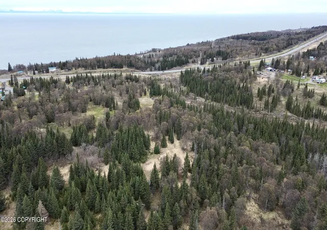 Homes for sale in Ninilchik, AK | 13500 Jackinsky St, Ninilchik, AK 99639 | MLS# 26-6185