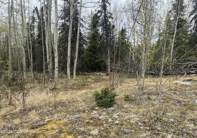 Homes for sale in Sterling, AK | 28072 Caffyn Ave, Sterling, AK 99672 | MLS# 26-6274