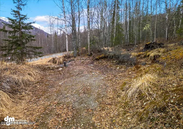 Homes for sale in Chugiak, AK | Nhn Jasmine Rd, Chugiak, AK 99567 | MLS# 26-6278