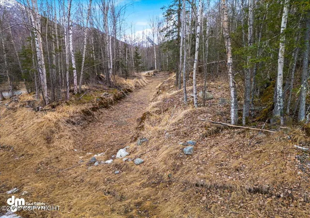 Homes for sale in Chugiak, AK | Nhn Jasmine Rd, Chugiak, AK 99567 | MLS# 26-6278