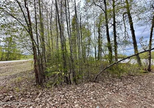 5th image of 23240 S Talkeetna Spur Rd, Talkeetna, AK 99676 | MLS# 26-6306