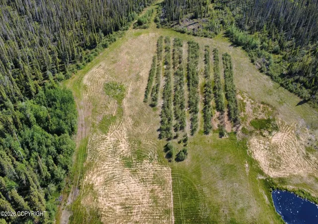 4th image of Mile 111 Edgerton Hwy, Copper Center, AK 99573 | MLS# 26-6305