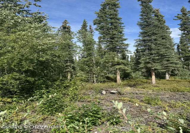 Photo 1 of Sale Pending at L2 4th Street, Glennallen, AK 99588 | MLS# 26-6495 | Listing updated on 2026-09-09