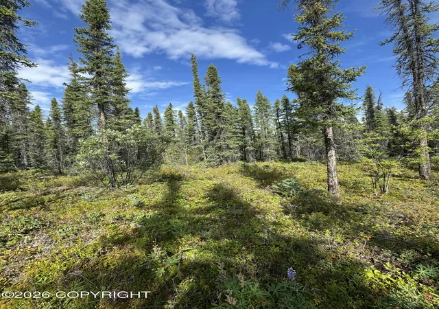 Photo 2 of Sale Pending at L2 4th Street, Glennallen, AK 99588 | MLS# 26-6495 | Listing updated on 2026-09-09