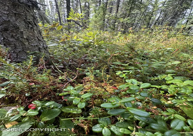 Photo 3 of Sale Pending at L2 4th Street, Glennallen, AK 99588 | MLS# 26-6495 | Listing updated on 2026-09-09