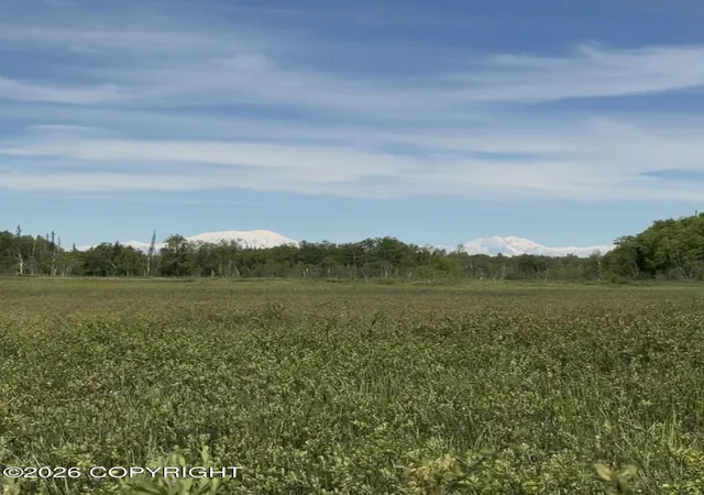 75th image of 32500 Talkeetna Spur Rd, Talkeetna, AK 99676 | MLS# 26-7086