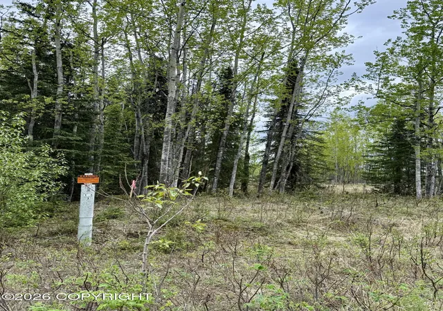 Homes for sale in Sterling, AK | L6 Warner, Sterling, AK 99672 | MLS# 26-6736
