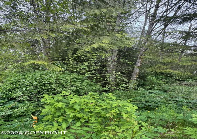 Homes for sale in Sitka, AK | 805 Lake St, Sitka, AK 99835 | MLS# 26-7204