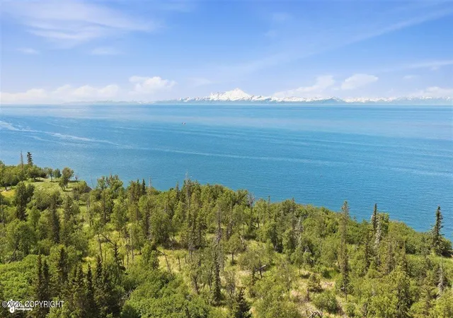 Photo 3 of Land for sale at 14179 Sterling Hwy, Ninilchik, AK 99639 | MLS# 26-7511 | Listing updated on 2026-08-17